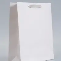 Пакет подарочный ламинированный, упаковка, &laquo;Молочный&raquo;, M 26&times;30&times;9 см