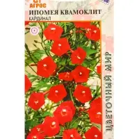 Семена Ипомея квамоклит Кардинал 10 шт Семена Ипомея квамоклит Кардинал 10 шт