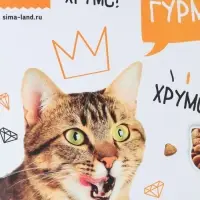 Коврик под миску &laquo;Для настоящих гурманов&raquo; 43&times;28 см