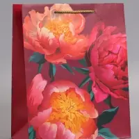 Пакет подарочный ламинированный &laquo;Яркий акцент&raquo;, 26&times;12&times;32 см