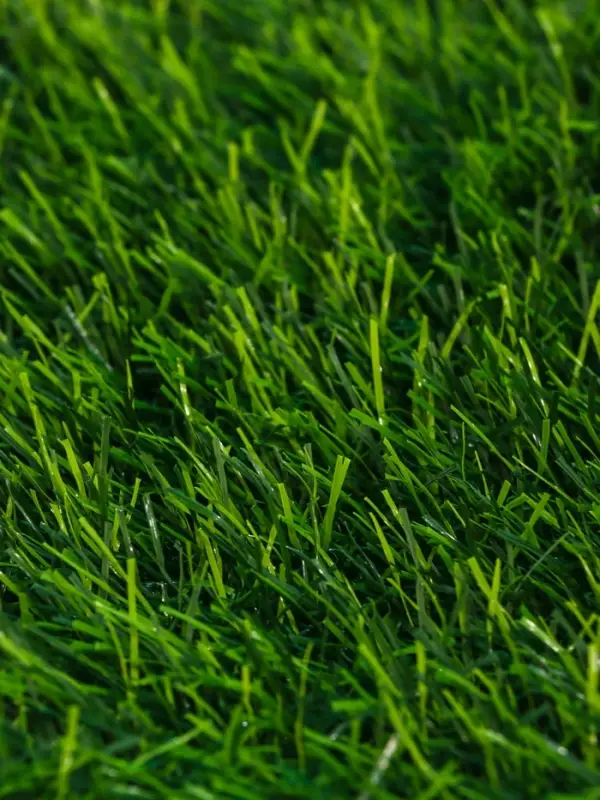 Газон искусственный, ворс 10 мм, 1&times;2 м, зелёный, Greengo