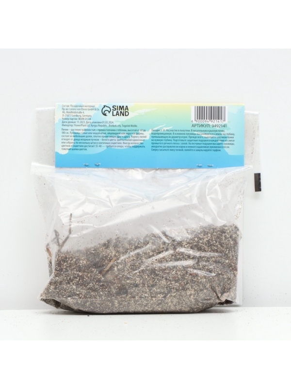 Лилия Азиатская Кашпо Trendy Santiago, луковица в пакете с перфорацией, р-р 12/14, 2 шт.