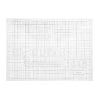 Папка-конверт на кнопке, А4, 80 мкм, &laquo;Клетка&raquo;, прозрачная