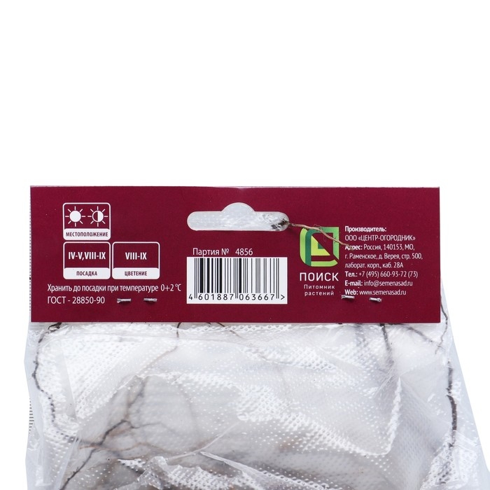 Астра кустарниковая «Кристина», корневище в торфогрунте, р-р I, 1 шт. Астра кустарниковая «Кристина», корневище в торфогрунте, р-р I, 1 шт.