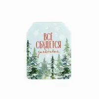 Шильдик на подарок «Верь в чудеса», набор 6 штук, 16×24 см