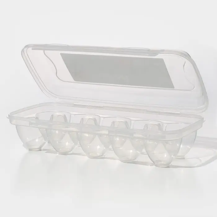 Контейнер для хранения яиц, 10 ячеек, 26,5×12,5×7 см Контейнер для хранения яиц, 10 ячеек, 26,5×12,5×7 см