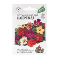 Семена Портулак "Шахерезада", ц/п, смесь, серия ХИТ х3, 0,01 г Семена Портулак "Шахерезада", ц/п, смесь, серия ХИТ х3, 0,01 г