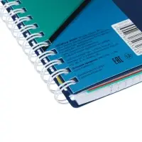 Тетрадь А4 96л кл "PROGRESSIVE CANVAS Синяя",пласт обл,греб,фигур высеч,4цв разд+лин+карм Тетрадь А4 96л кл "PROGRESSIVE CANVAS Синяя",пласт обл,греб,фигур высеч,4цв разд+лин+карм