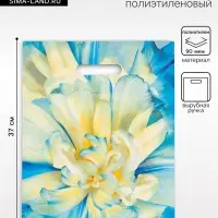 Пакет подарочный &laquo;Молли&raquo;, полиэтиленовый с вырубной ручкой, 30&times;37 см, 90 мкм