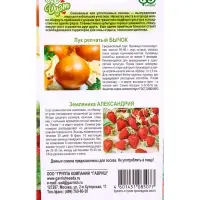 Семена Лук репчатый Бычок 0.5 г +Земляника Александрия 0.03 г Дуэт Хорошие соседи