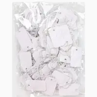 Ценники на верёвке, 100 шт. отверстие 2 мм, 2.5&times;1.5 см, белый