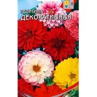 Семена цветов Георгина Декоративная 15 шт