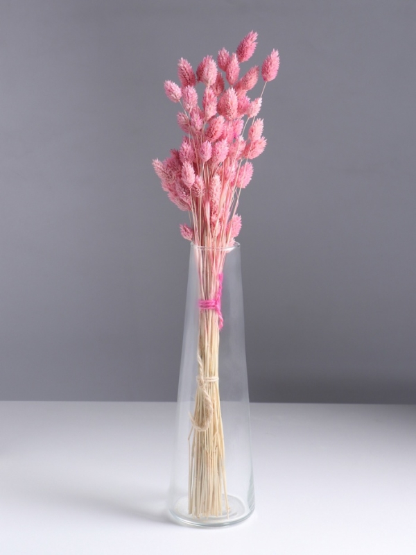 Набор сухоцветов "Фаларис", банч длина 55 (+/- 6 см), розовый