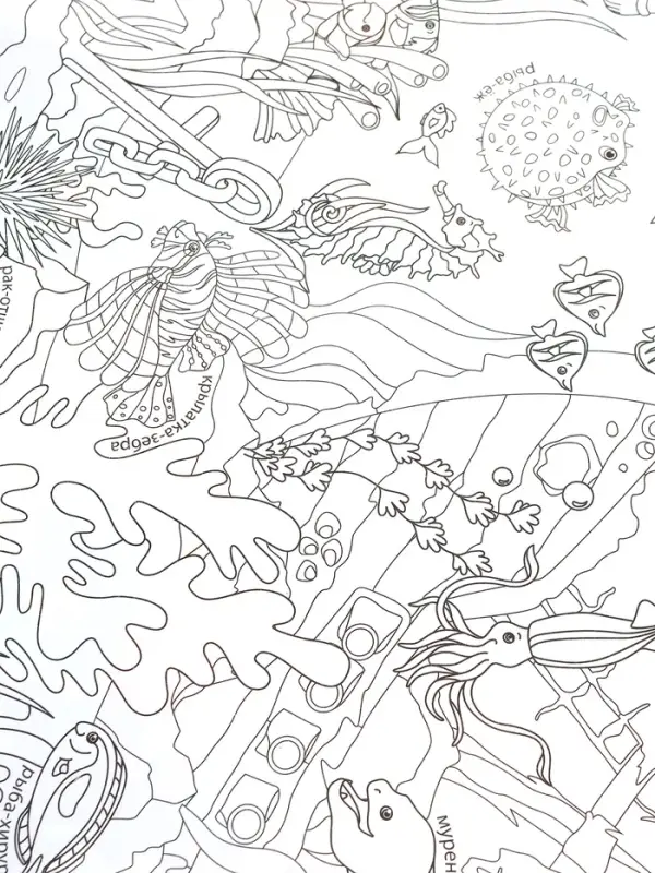 Большой подарок выпускнику детского сада. 7в1.