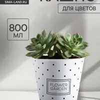 Кашпо для цветов Flower garden, 800 мл, d=11 см, h=12 см, пластиковое