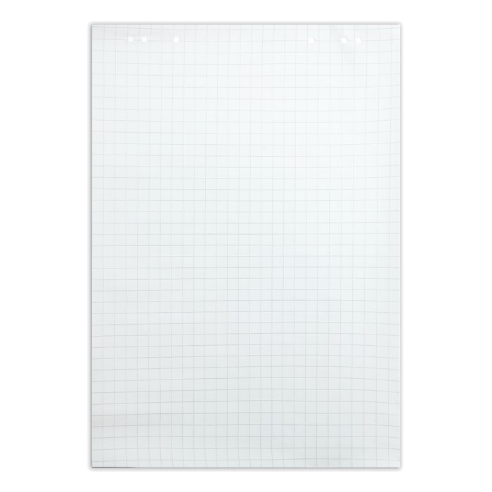 Блокнот для флипчарта в клетку Calligrata, 67.5 х 98 см, 20 листов, 80 г/м2, белизна 92% Блокнот для флипчарта в клетку Calligrata, 67.5 х 98 см, 20 листов, 80 г/м2, белизна 92%