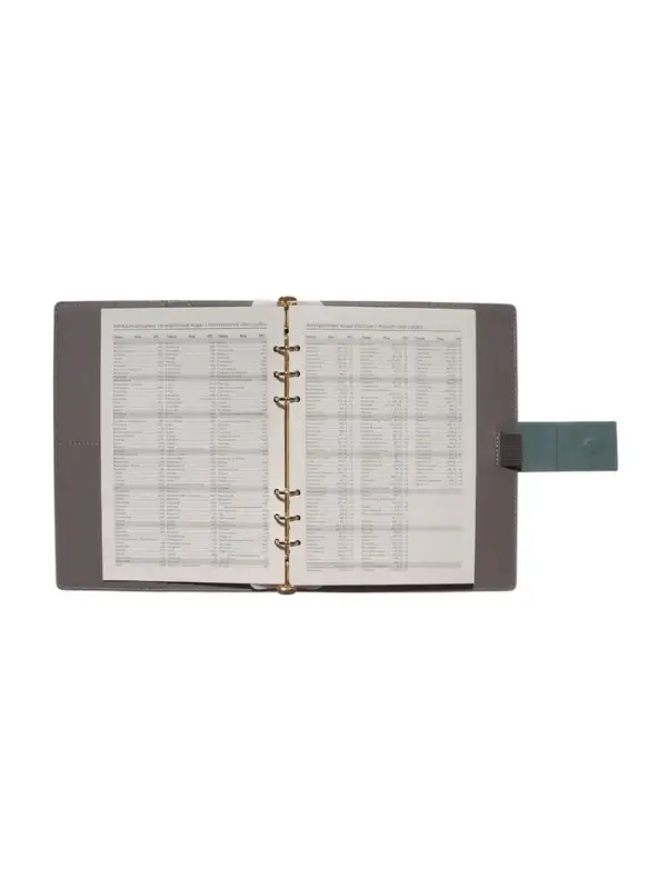 Органайзер на кольцах, А5, с хлястиком, 80л, линия, к/зам, Зеленый Органайзер на кольцах, А5, с хлястиком, 80л, линия, к/зам, Зеленый