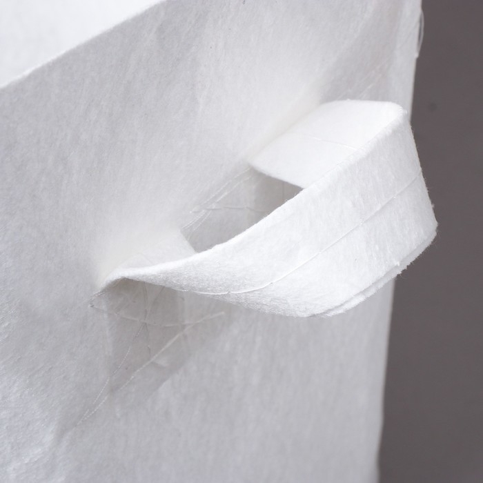 Контейнер с ручками, 31 × 29 см, плотность 130 г/м², Greengo