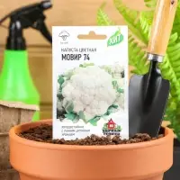 Семена Капуста цветная &laquo;Мовир 74&raquo;, 0.1 г, &laquo;Удачные семена&raquo;