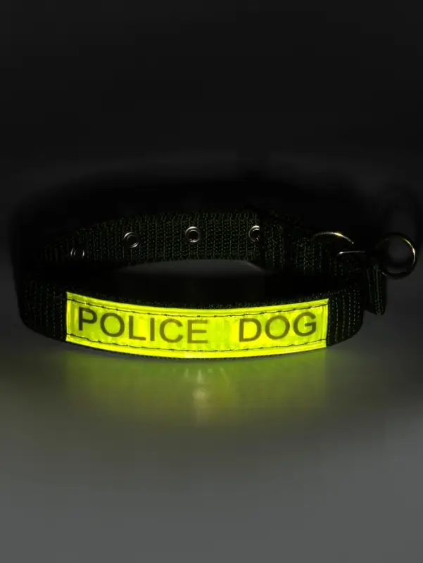 Ошейник двухслойный с вертлюгом, 2.5 см, зелёный