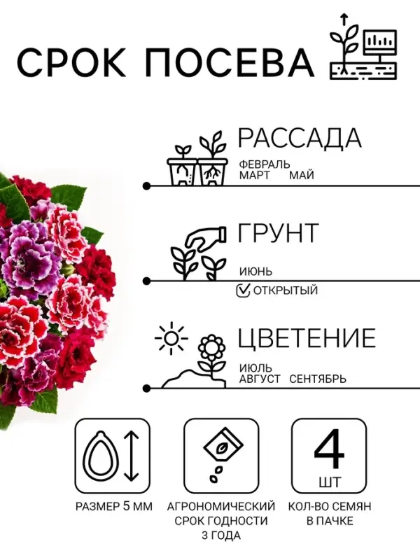 Семена цветов Глоксиния "Брокада", ц/п, F1, гранулы, 4 шт.