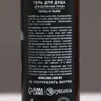 Гель для душа мужской &laquo;Удачного года!&raquo;, 100 мл, аромат перца и лайма, Чистое счастье