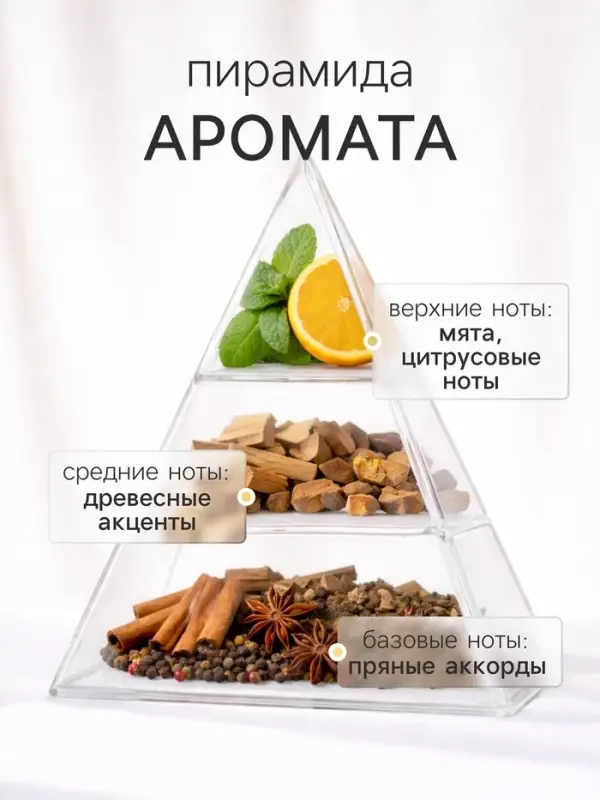 Наполнитель для ароматического диффузора XO The Dream, 100 мл