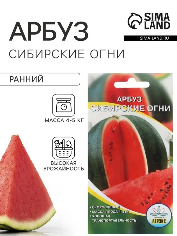 Семена Арбуз &laquo;Сибирские огни&raquo;, 10 шт., &laquo;Агрэкс&raquo;