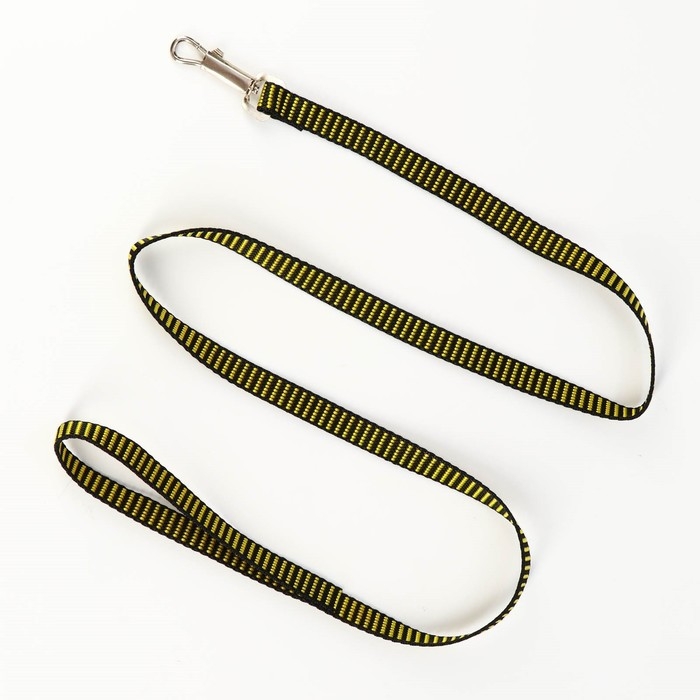 Комплект амуниции рельефный, 1,5 см, шлейка 36-49 см, поводок 120 см, жёлто-чёрный