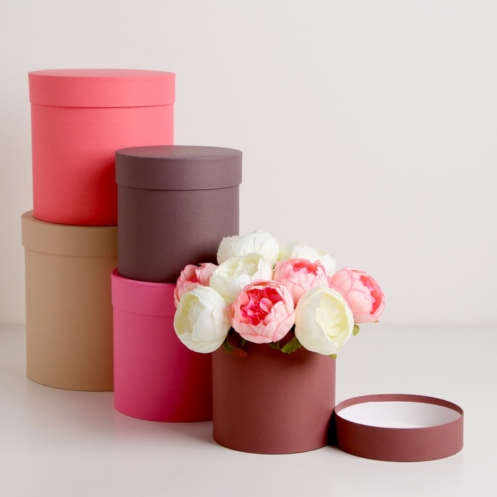 Набор шляпных коробок 5 в 1 Набор шляпных коробок 5 в 1" Кофейный" , 23 х23 - 15 х 15 см