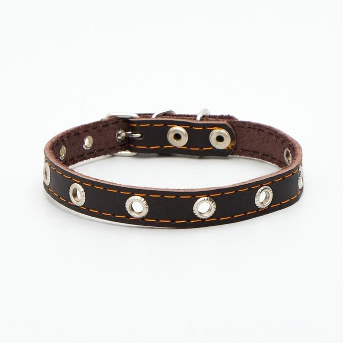Ошейник кожаный однослойный с рифленными люверсами, безразмерный, 40 х 1,5 см, ОШ 27-35 см, корич700 Ошейник кожаный однослойный с рифленными люверсами, безразмерный, 40 х 1,5 см, ОШ 27-35 см, корич700