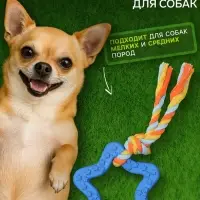Игрушка жевательная с канатом &laquo;Звезда с хвостом&raquo;, синяя