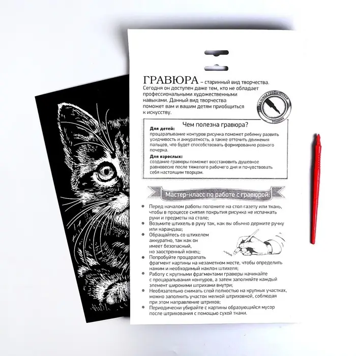 Гравюра &laquo;Котёнок&raquo; с металлическим эффектом &laquo;серебро&raquo; А4