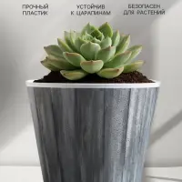 Кашпо для цветов &laquo;Досочки&raquo;, 800 мл, d=11 см, h=12 см, пластиковое