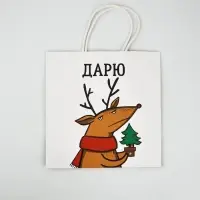 Набор пакетов подарочных &laquo;Новогодний праздник&raquo; 5 шт., 22&times;22&times;11 см