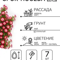 Семена цветов Петуния &laquo;Городская&raquo; F1, утренняя, драже в пробирке, 7 шт.