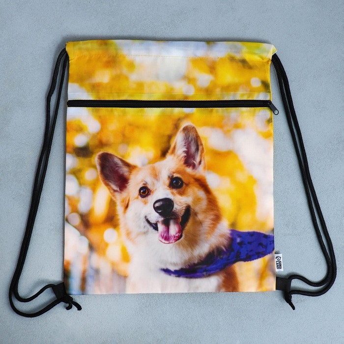 Мешок для обуви «Забавный корги» 2 секции, 30×40 см Мешок для обуви «Забавный корги» 2 секции, 30×40 см