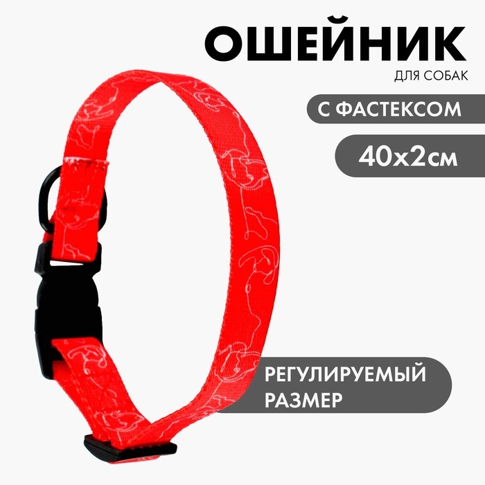Ошейник One line, застёжка - фастекс, 2 см 25-40 см Ошейник One line, застёжка - фастекс, 2 см 25-40 см