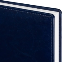 Ежедневник недатированный синий, А5, 148x218, 352стр, Agenda