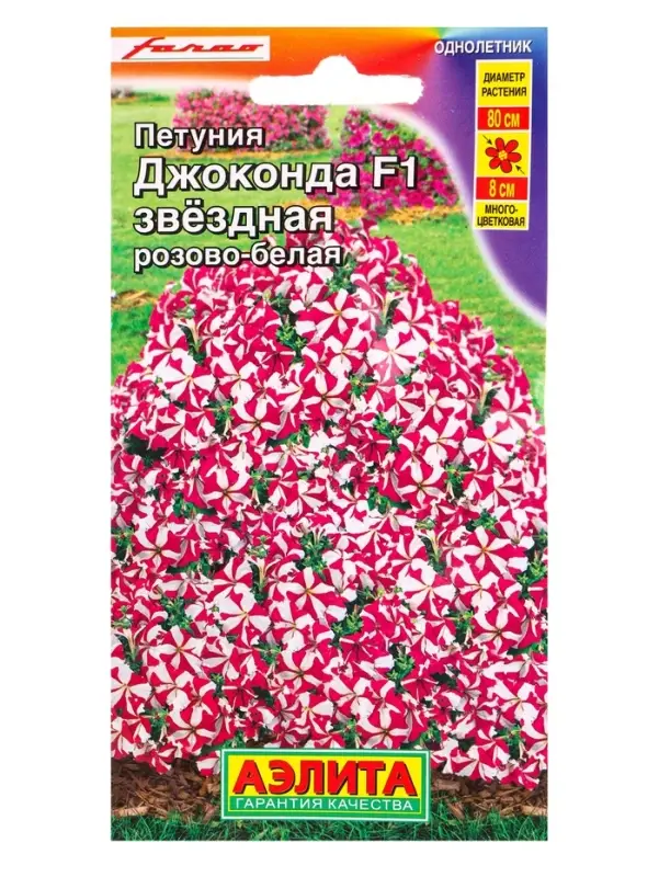 Семена цветов Петуния Джоконда F1 звездная розово-белая (драже в пробирке) С. Farao, Ц/П,5 шт. 1094 Семена цветов Петуния Джоконда F1 звездная розово-белая (драже в пробирке) С. Farao, Ц/П,5 шт. 1094