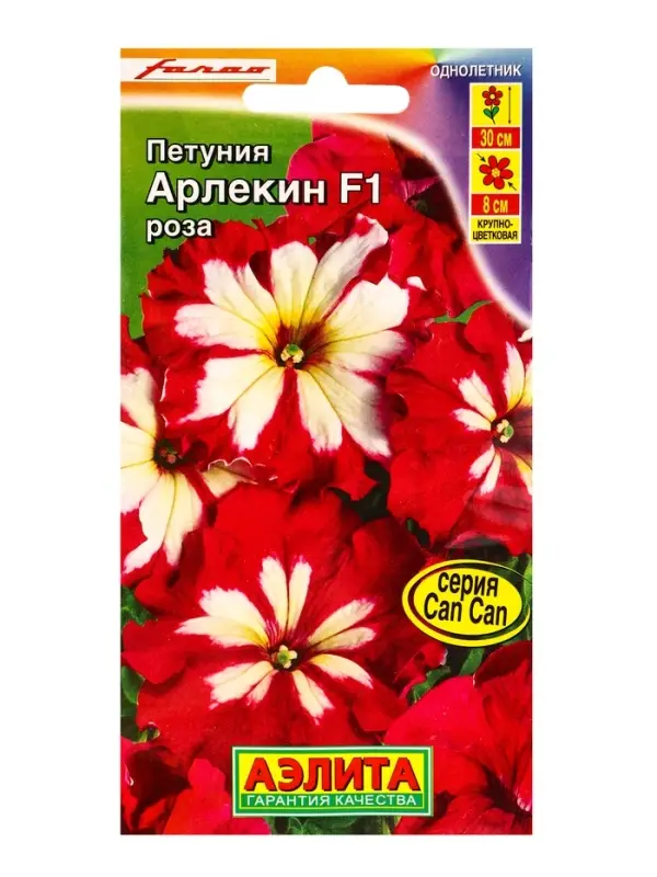 Семена цветов Петуния Арлекин Роза F1 крупноцветковая (драже в пробирке) С. Farao, Ц/П,5 шт. 109456 Семена цветов Петуния Арлекин Роза F1 крупноцветковая (драже в пробирке) С. Farao, Ц/П,5 шт. 109456
