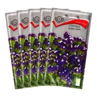 Набор семян Статица "Суприм синяя", 5 шт.