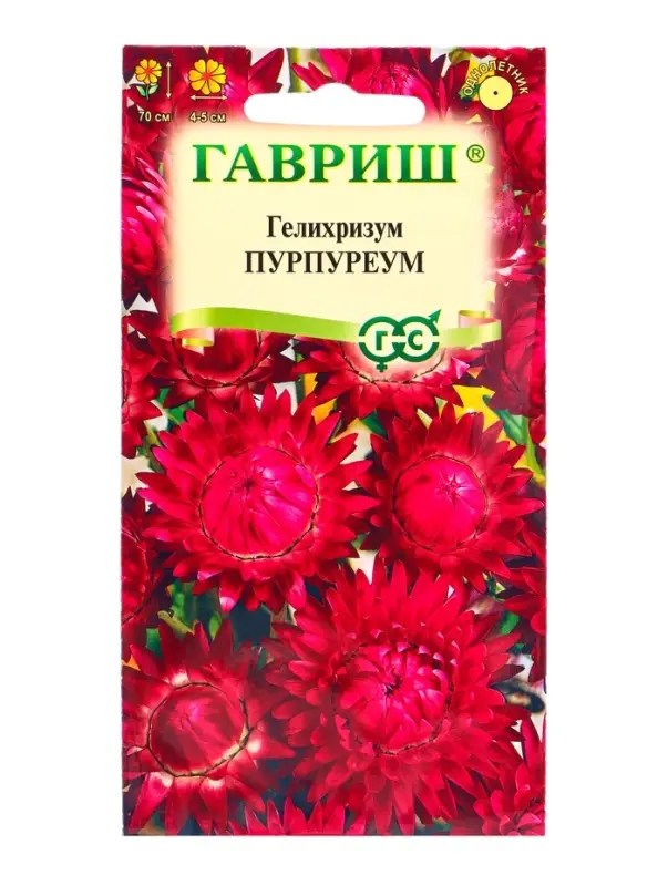 Семена цветов Гелихризум Пурпуреум* 0,1 г