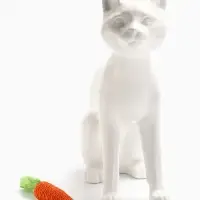 Игрушка-когтеточка для кошек "Морковка", 13 см, оранжевая Игрушка-когтеточка для кошек "Морковка", 13 см, оранжевая