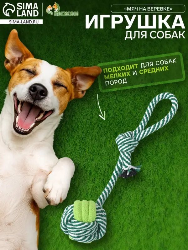 Игрушка канатная &laquo;Мяч на веревке&raquo;, 33 г, до 25 см, цвет МИКС