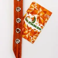 Ошейник кожаный однослойный украшенный, 1,2 см, ОШ 20-26 см микс цветов Ошейник кожаный однослойный украшенный, 1,2 см, ОШ 20-26 см микс цветов