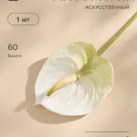 Цветы искусственные &laquo;Антуриум&raquo;, h=60 см, белые