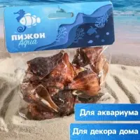 Набор ракушек, 5 - 7 см, 100 г