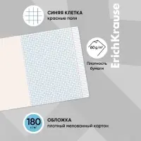 Тетрадь 18 листов в клетку, ErichKrause Birds, обложка мелованный картон, блок офсет 100% белизна, МИКС