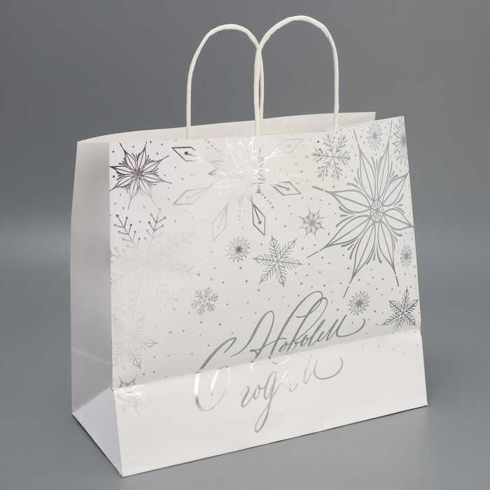 Пакет подарочный новогодний крафтовый Winter, 32 х 28 х 15 см, Новый год Пакет подарочный новогодний крафтовый Winter, 32 х 28 х 15 см, Новый год